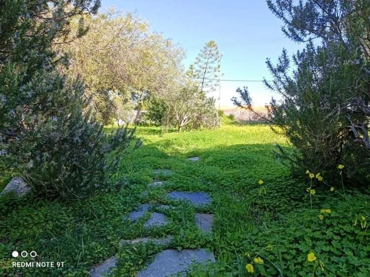 Villa Velissarios: Wonderful Villa Next To Beach Aegina Luaran gambar