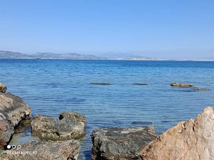 Villa Velissarios: Wonderful Villa Next To Beach Aegina Luaran gambar
