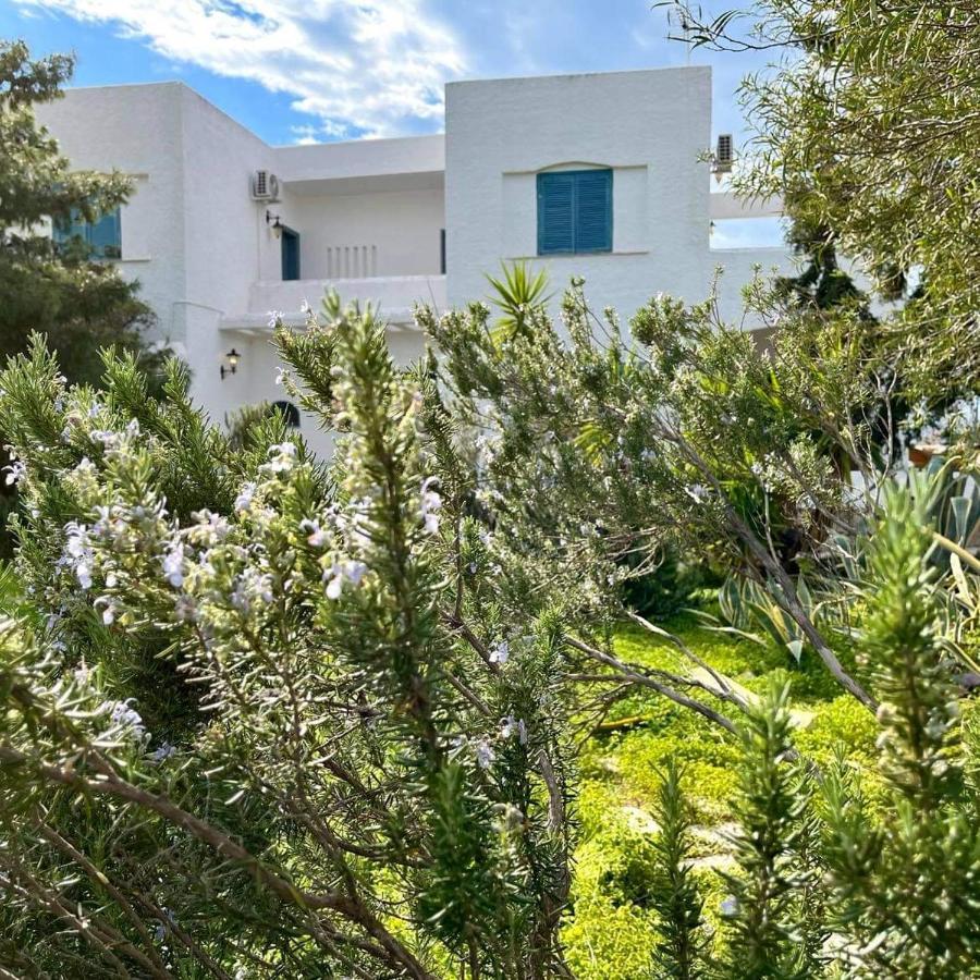 Villa Velissarios: Wonderful Villa Next To Beach Aegina Luaran gambar